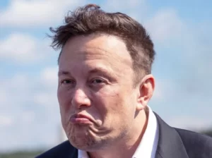 All about Elon Musk Hair Transplant | HAIRFIX